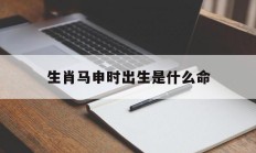 生肖马申时出生是什么命_(属马申时出生的男的好不好)