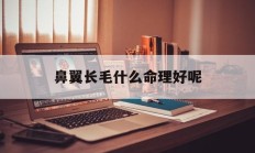 鼻翼长毛什么命理好呢_(鼻翼长毛面相)