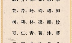 女孩子可以取名羲和吗_(女孩子可以取名羲和吗好听吗)