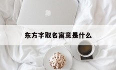 东方字取名寓意是什么_(东方的名字含义和来历)