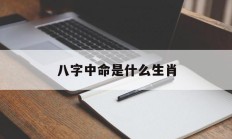 八字中命是什么生肖_(八字中的命)