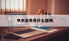 甲木命男养什么植物_(甲木男适合做什么工作)