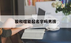 骏和暄能起名字吗男孩_(骏和峻 名字)