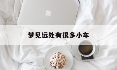 梦见远处有很多小车_(梦见好多小汽车停在哪里)