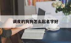 调皮的狗狗怎么起名字好_(给调皮的狗狗起名字)