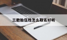 三胞胎伍姓怎么取名好听_(小说里五胞胎孩子都是怎么起名字的)