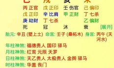 男命遇什么流年生男孩_(男命流年遇桃花会怎么样?)