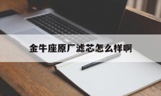 金牛座原厂滤芯怎么样啊_(金牛座汽油滤芯是内置还是外置)