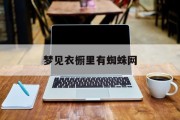 梦见衣橱里有蜘蛛网_(梦见衣服上有好多蜘蛛爬出来)