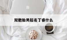 双胞胎男起名丁睿什么_(双胞胎女宝宝取名字)