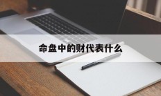 命盘中的财代表什么_(命盘中的财代表什么生肖)