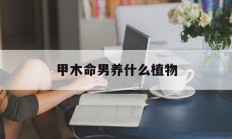 甲木命男养什么植物_(甲木男适合在哪里发展)