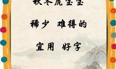 虎宝宝起名能用迪字旁吗_(虎宝宝起名能用迪字旁吗怎么取)