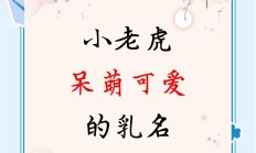母虎皮起名字叫什么好_(母虎皮起名字叫什么好听)