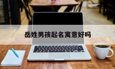 岳姓男孩起名寓意好吗_(岳姓男孩起名寓意好吗)