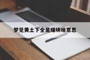 梦见黄土下全是煤块啥意思_(梦见黄土地)