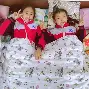 午睡梦见白色的猫咪(晚上梦见白色的猫)
