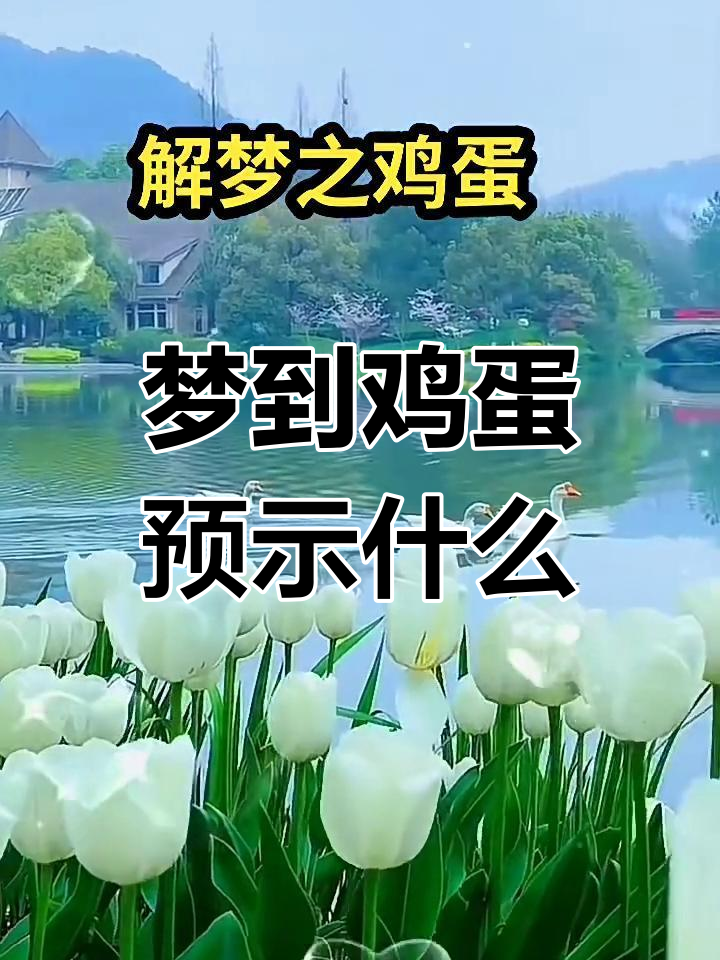 梦见鸡蛋破了煎吃了_(梦见鸡蛋破了一个小口)
