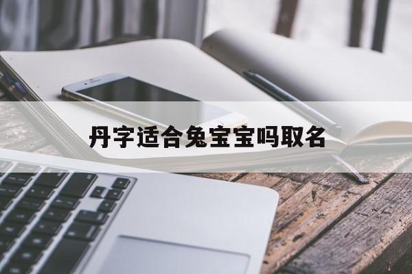 丹字适合兔宝宝吗取名_(丹字取名字有什么寓意)