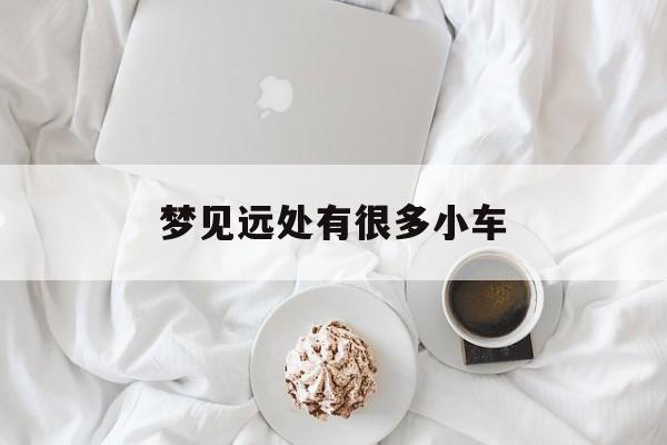 梦见远处有很多小车_(梦见好多小汽车停在哪里)