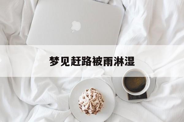 梦见赶路被雨淋湿_(梦到淋雨赶路)
