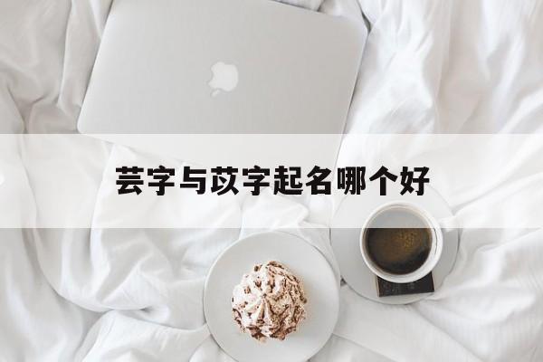 芸字与苡字起名哪个好_(芸字起名的寓意)