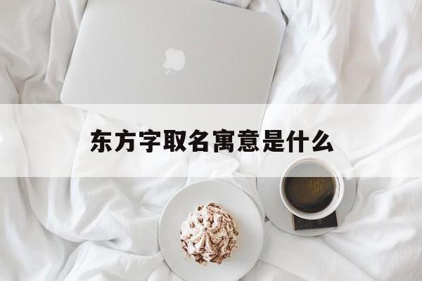 东方字取名寓意是什么_(东方的名字含义和来历)