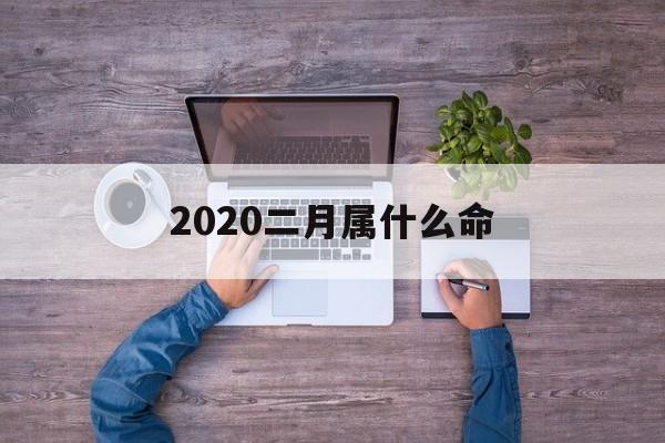 2020二月属什么命_(2020年二月出生的宝宝是什么命)